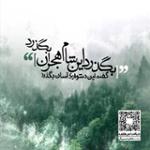 موومان 5