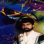 تصنیف شو و کمین