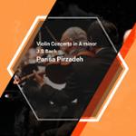 Bach Violin Concerto in A minor - Allegro moderato