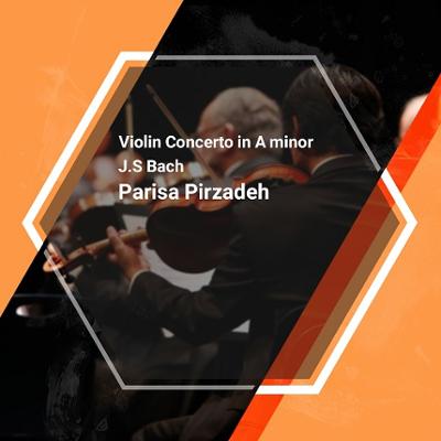 آهنگ Bach Violin Concerto in A minor - Allegro moderato