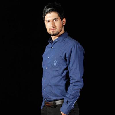 آهنگ امام رضا (ع)