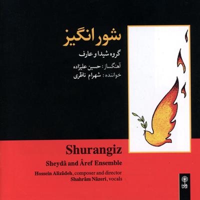 آهنگ شورانگیز (دونوازی تار)