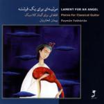 در مقابل باد