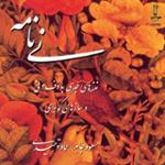 لیلی - گوشه صنم