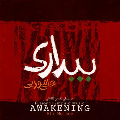 آهنگ حیات در حیاط