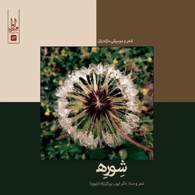 آهنگ بانو بانو جان (تصنیف)