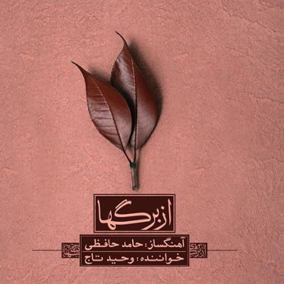 آهنگ ساز و آواز