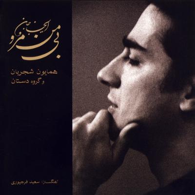 آهنگ ساز و آواز شکسته "دست به جان نمی رسد"