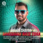 می کشم ناز تو را