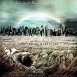 شور خاک و سبزه زار