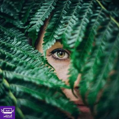 آهنگ ماکیزارد