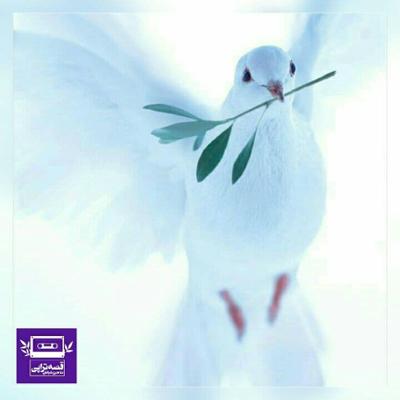 آهنگ مردی با کبوتر