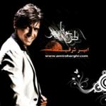 عاشقت میمونم