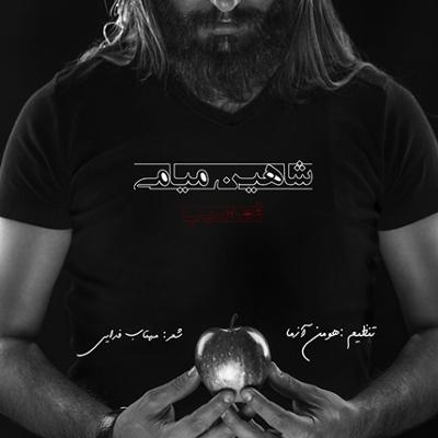 آهنگ قصه ی سیب