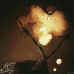 لعنتی های دوست داشتنی