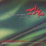 شبی یاد دارم