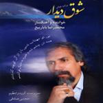 ای صنم (افشاری، بیات ترک)