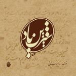 یا رسول الله سلام علیک