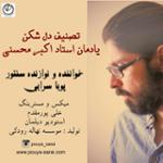 تصنیف دل شکن (یادمان استاد اکبر محسنی)