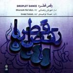 رقص قطره (بخش اول: تکنوازی تار)
