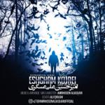 از تو هیچوقت نمی رنجم