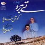 تصنیف فصل بهار