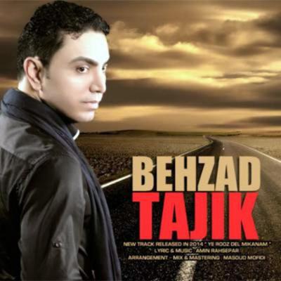 آهنگ یه روز دل می کنم