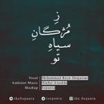 ز مژگان سیاه تو