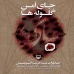 جای امن گلوله ها 5