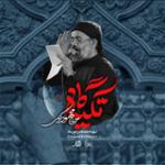 تکیه گاه