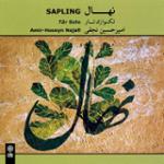 درآمد بیات ترک