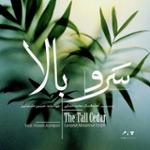 ضربی افشاری