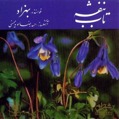 آهنگ هله عاشفان