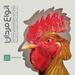 انواع مردان 8