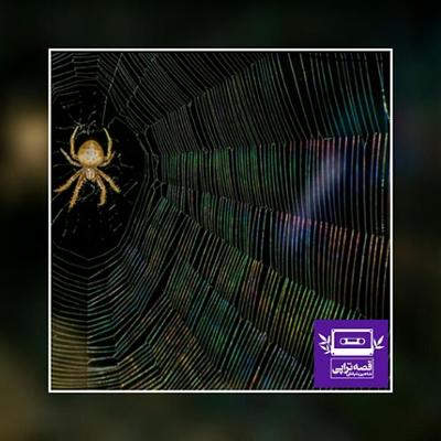 آهنگ عنکبوت