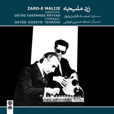 آهنگ دشتستانی - آواز دشتی