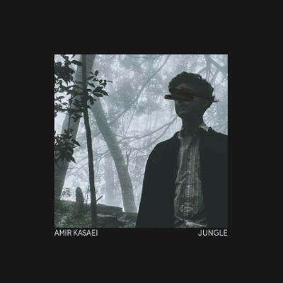 آهنگ Jungle