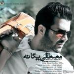 باور کردنی نیست