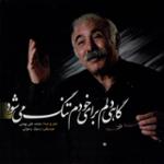 ناگهان دیدم که دور افتاده ام از همرهانم