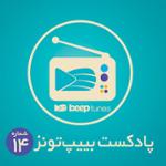 پادکست 14 (سنتی ایرانی و کلاسیک ایرانی)