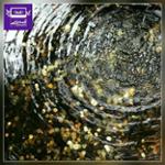 سکه‌های ته دریاچه