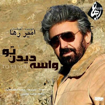 آهنگ واسه دیدن تو