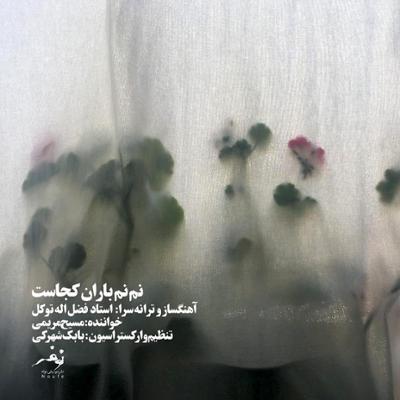 آهنگ بی کسی