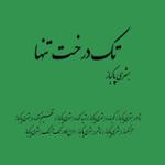 تک درخت تنها