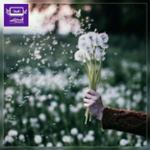 برایت به قدر کافی آرزو می‌کنم