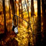 آهنگ نگاه تو