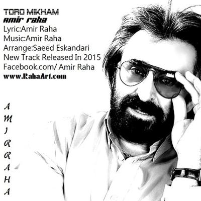 آهنگ تورو میخوام