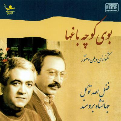 آهنگ دستگاه شور