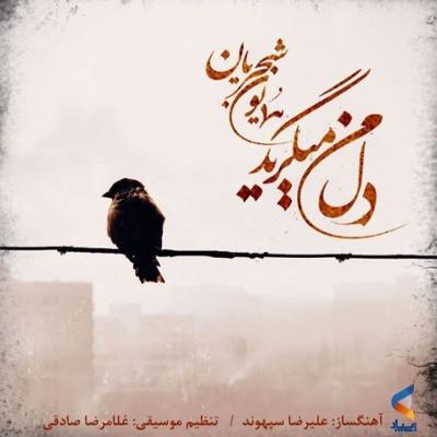 آهنگ دل من میگرید