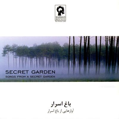 آهنگ Song From A Secret Garden